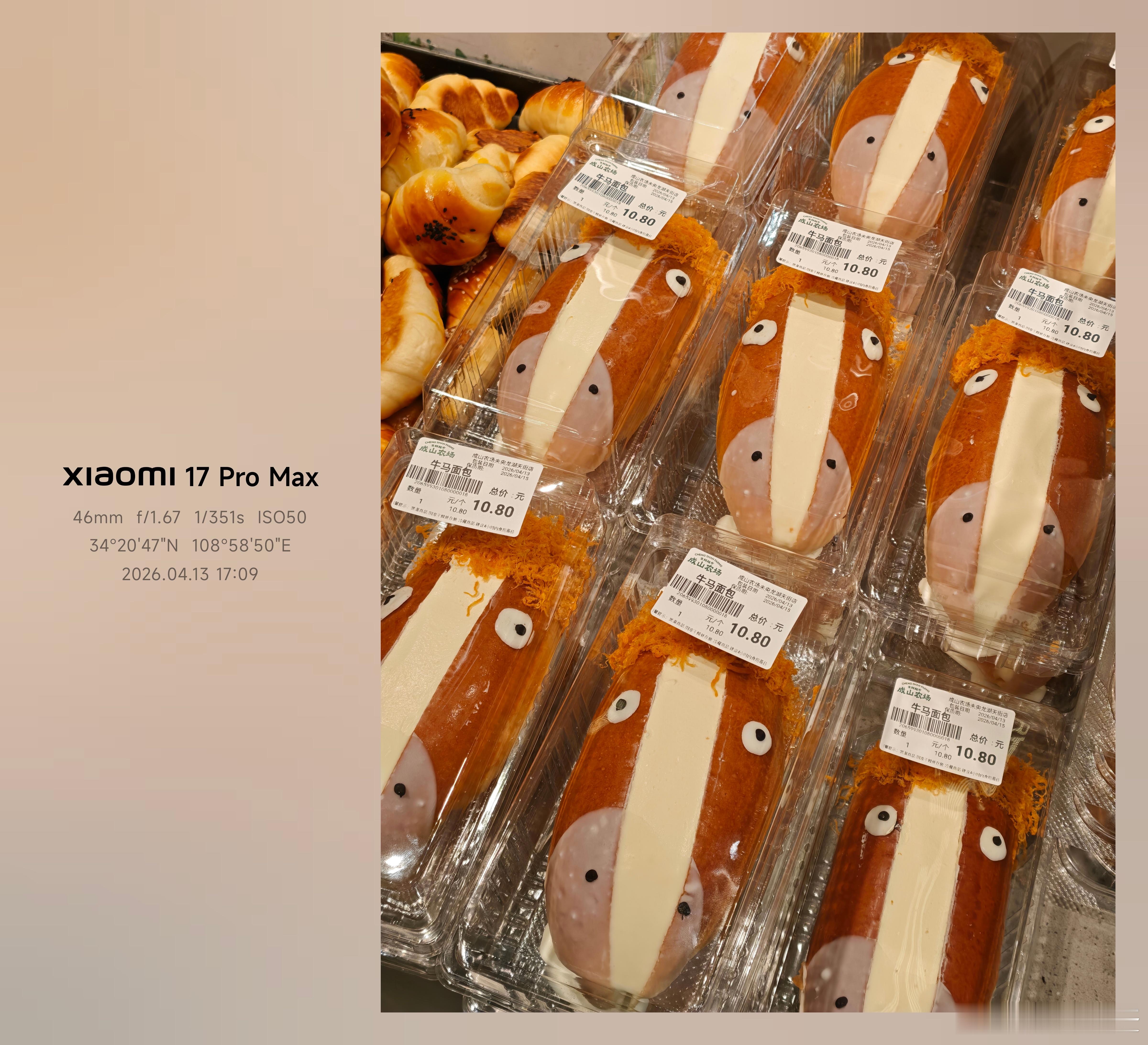 牛马面包，谁要…… 