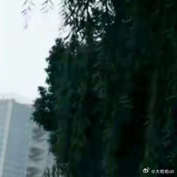 总有人会捧着车厘子花束向你走来，世间还没给你的温柔都在路上，你要等，为你而来 