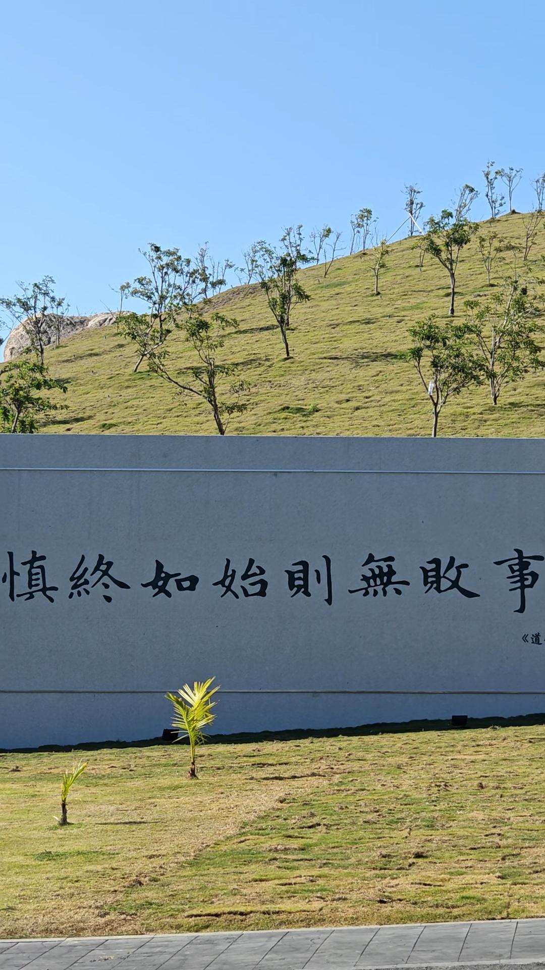 新春佳节，头条·武当中医药工作室，祝朋友们福如东海，寿比南山