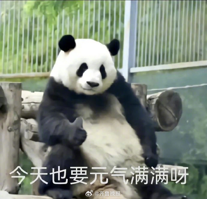 #早安# 每个人都有自己的节奏，不要看到别人的步伐就自乱阵脚。 