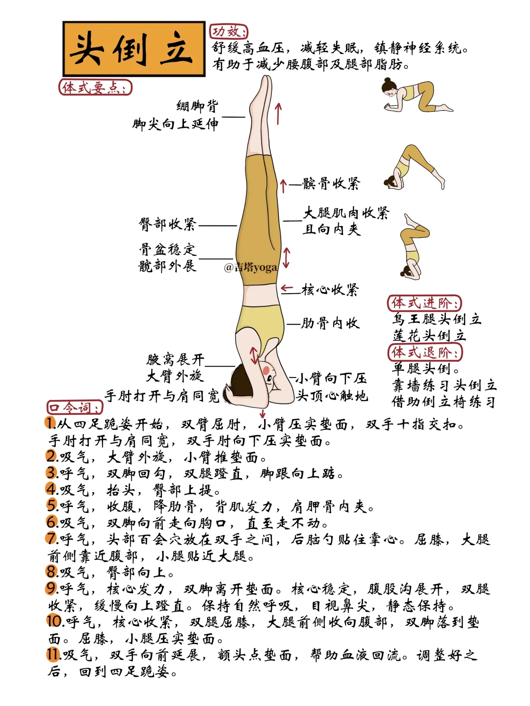 【新】每天讲解一个瑜伽体式【第二十二天】