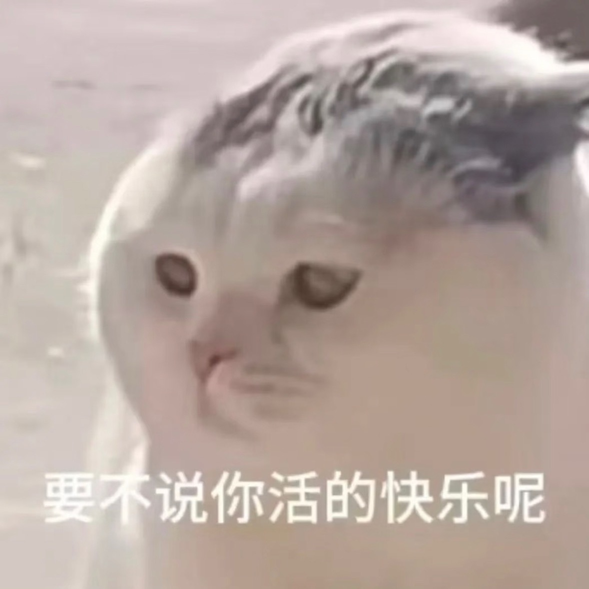 正常特典。 
