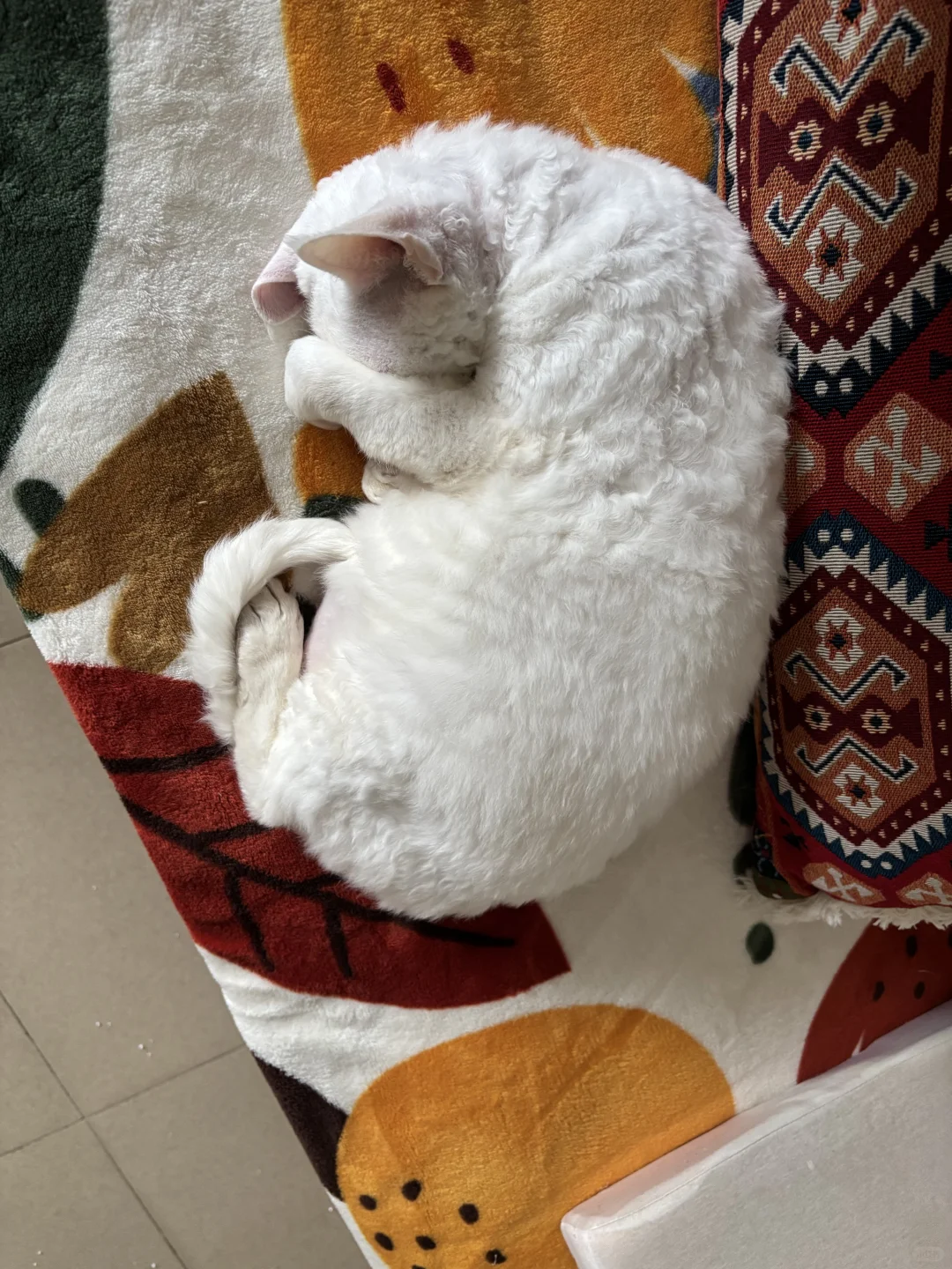 讨厌，就不能拉一下窗帘吗