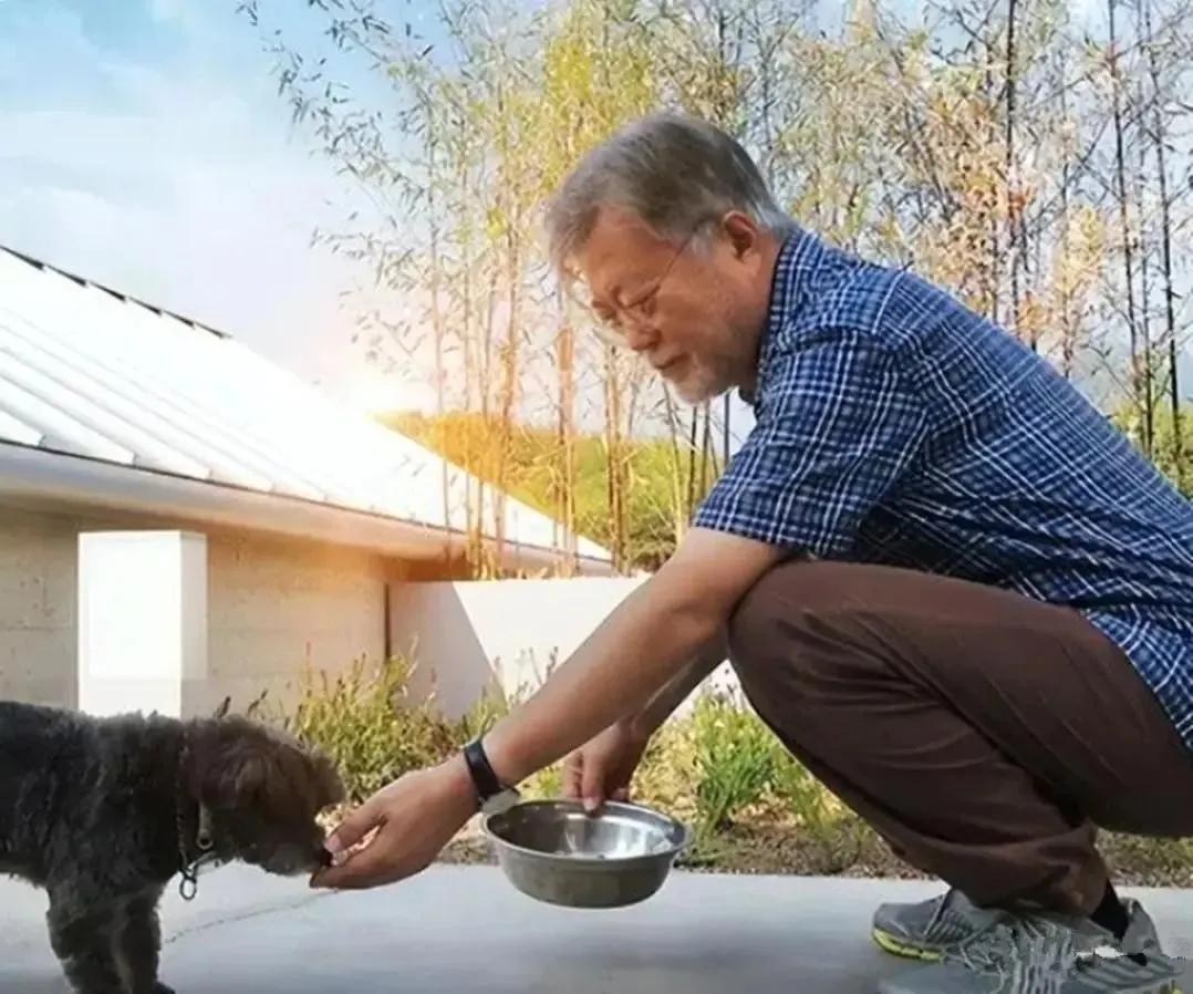 韩国退休总统文在寅，活出了大家都想要的样子。
走上过权力巅峰，又心平气和地回归土