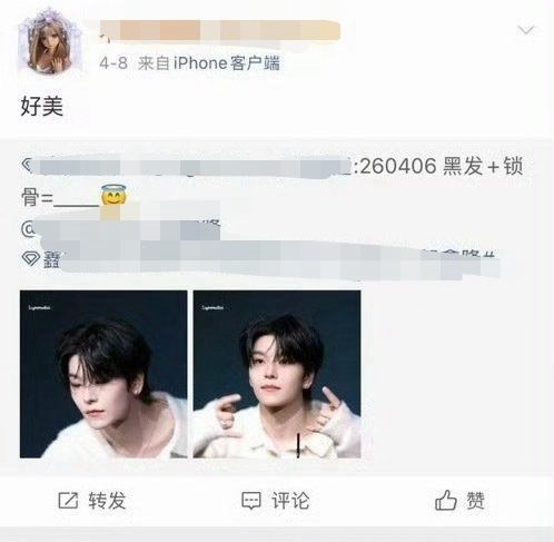如何看待贺鑫隆粉丝打不过吴是温就开除自家散粉粉籍说散粉是串子？ 