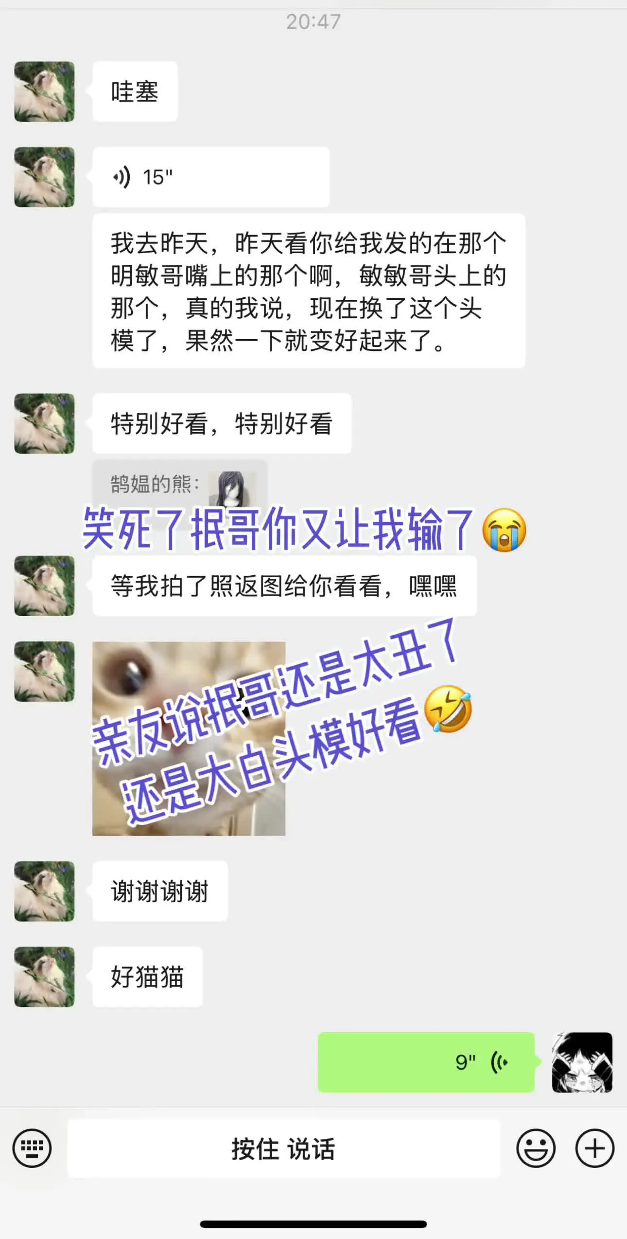 抿哥你又让我输了😭 长阶假发假发造型