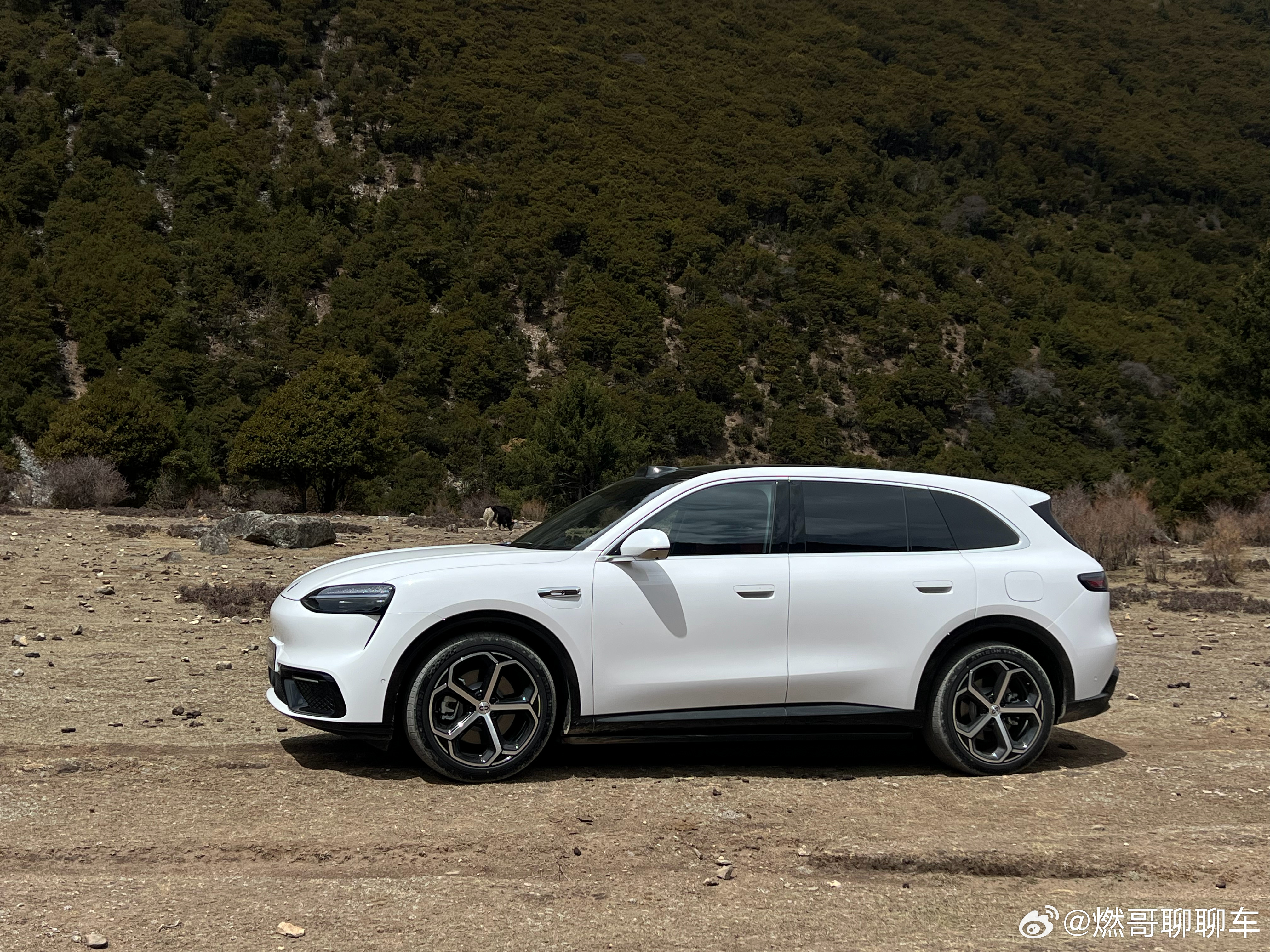 白朗沟这地方真是不同天不同季节，今天运气不错，车也挺6～ 林芝·林芝巴松错旅游区