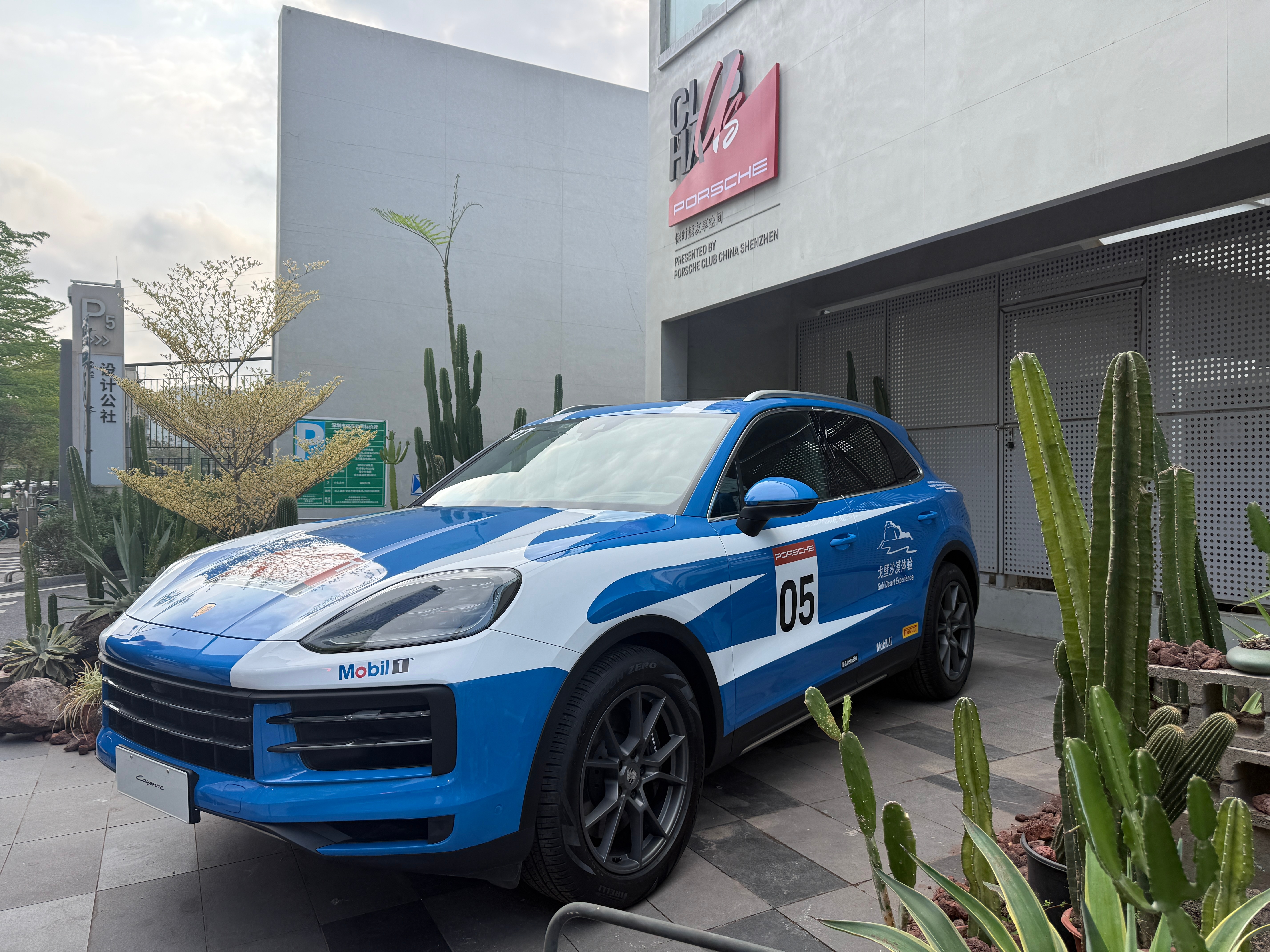 二月二龙抬头，深圳街边走一走我与汽车的日常