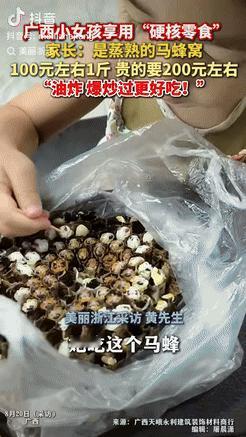 强的可怕！广西一男子买了份蒸熟的马蜂窝，100元左右1斤，带回家后，女孩拿着牙签