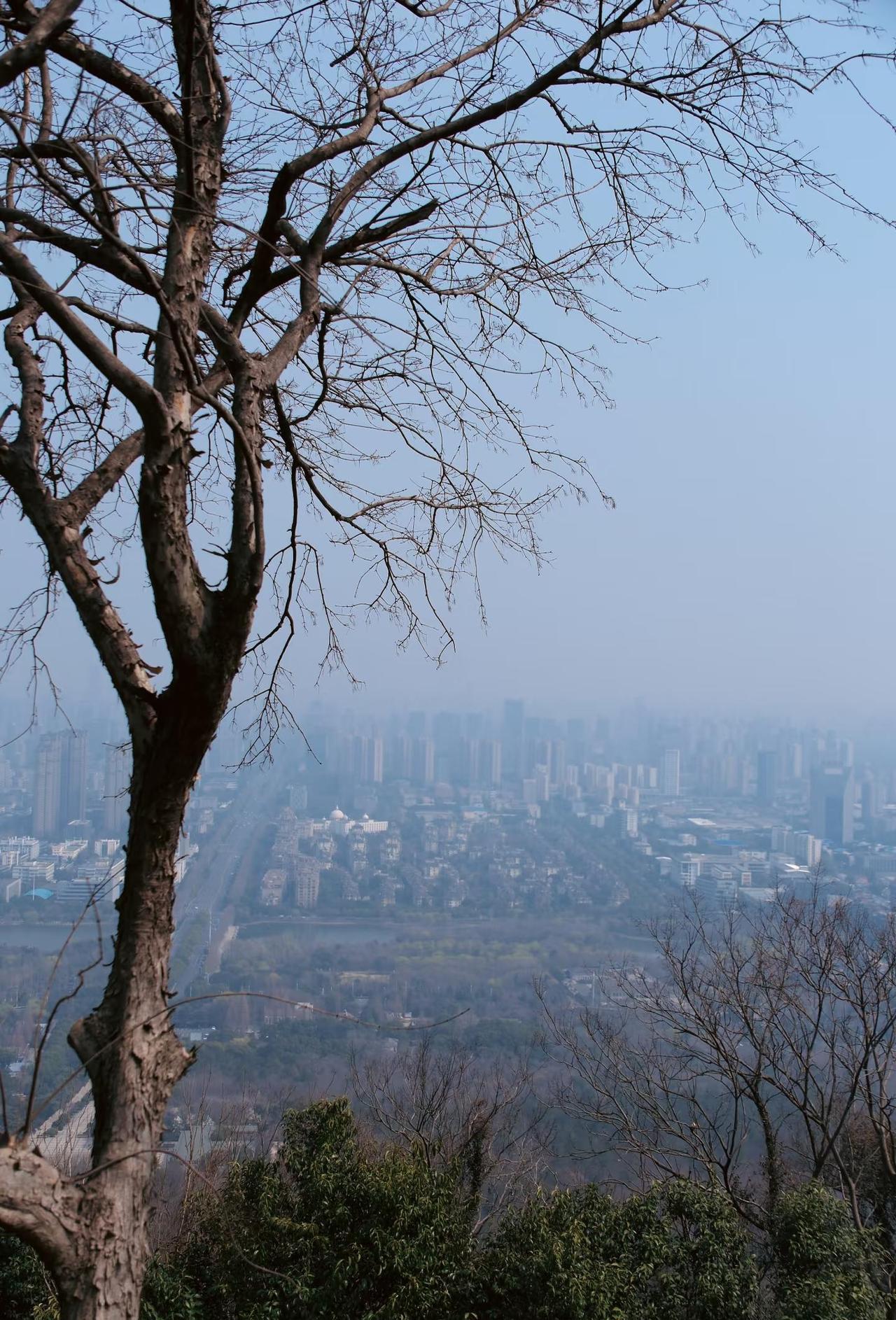 合肥打工人狂喜！午休1小时爬完大蜀山🔥
谁懂啊！
上班摸鱼时间就能爬完大蜀山
