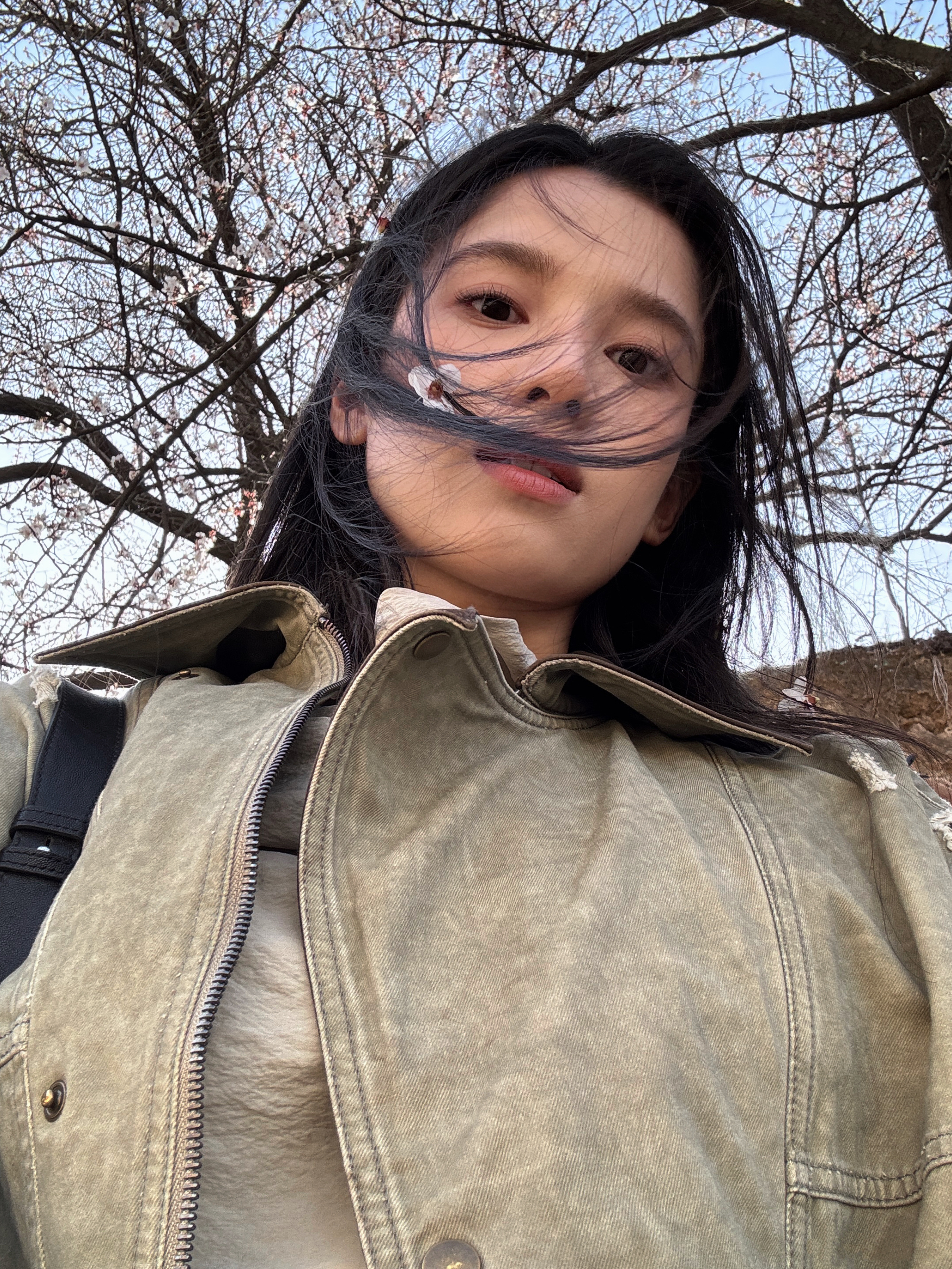 张婧仪 