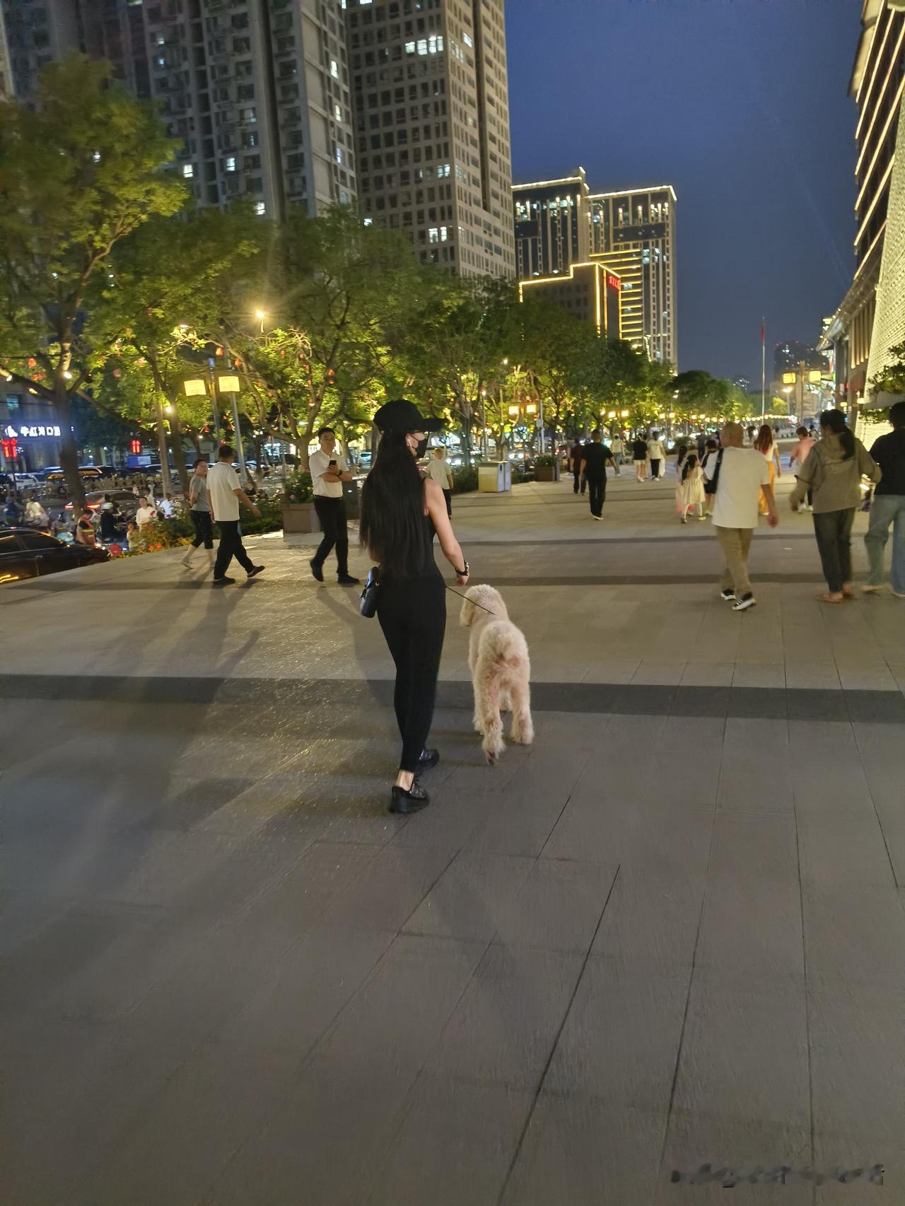 夜晚遛狗，享受城市繁华与宁静的对比。