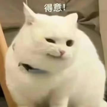 哈哈哈哈哈臭屁小猫^人家被萌吐惹。。 ​​​