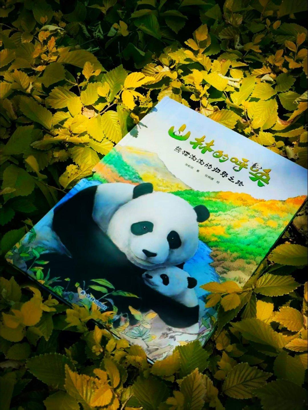 我的私人宝藏书单书评 儿童节礼物｜《山林的呼唤》不知道为什么，我读这本书的时候有