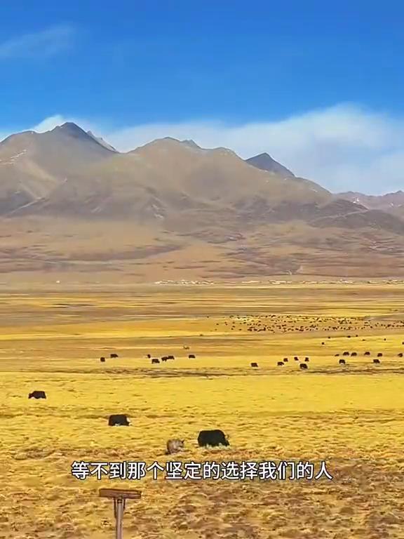 如果我们找不到合适的人，遇不到真心的人，等不到那个坚定的选择我们的人，那就一个人