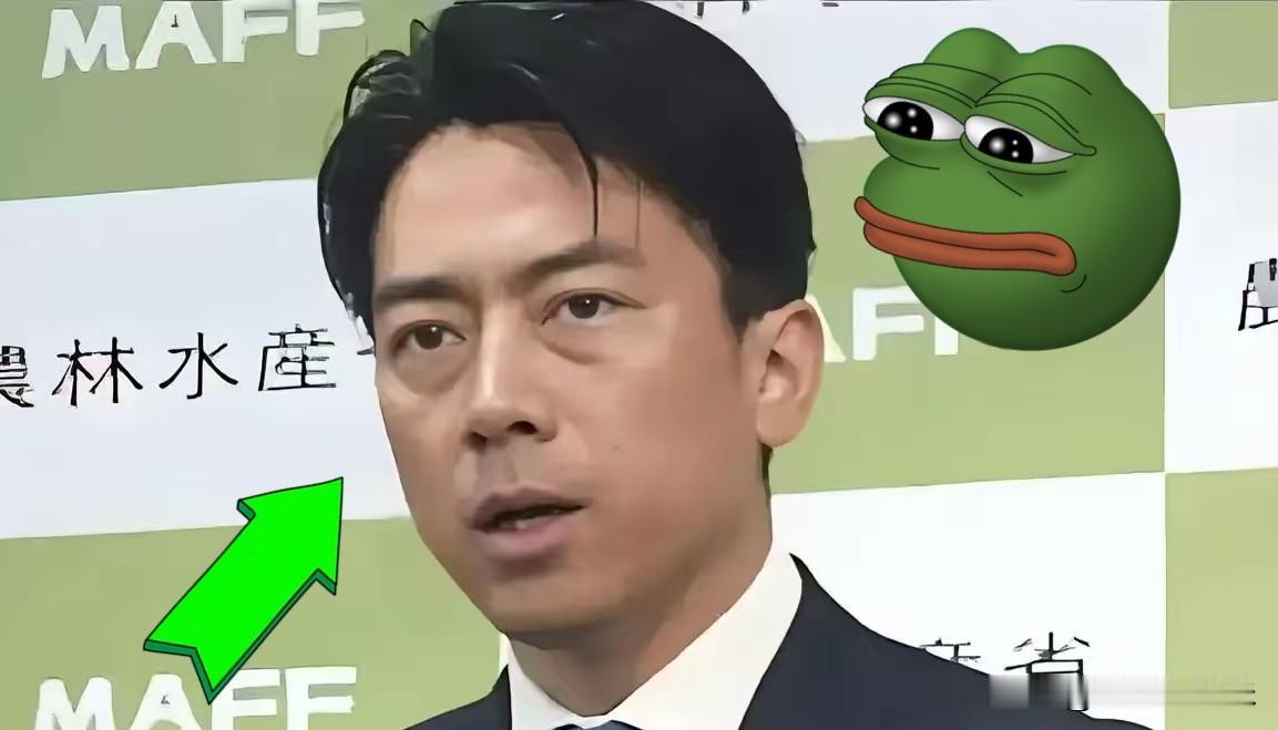 突然摊牌！日本刚刚传来大消息
2025年11月18日，日本政界人士在记者会上突然