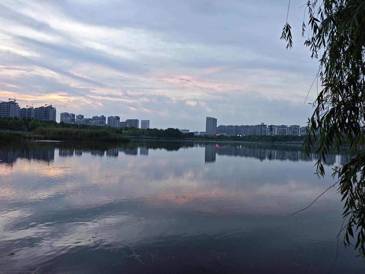 可以分享一张最美湖面的照片吗夜幕渐近，天空中残留着晚霞，云彩各色各样，虫子，蝙蝠