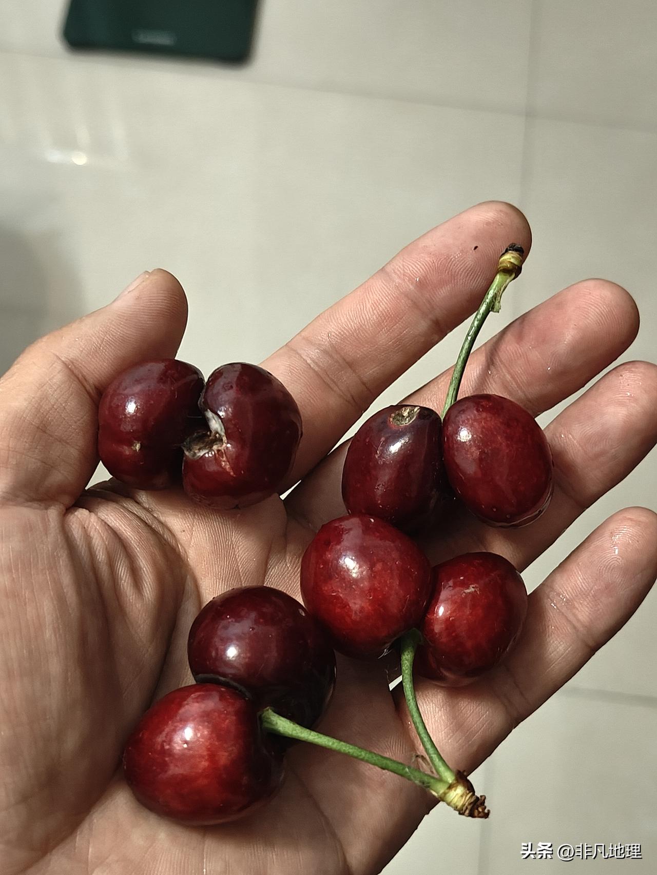 为啥现在的樱桃都是这样的双胞胎？

我也不知道这叫樱桃还是樱珠，甚至什么车厘子，
