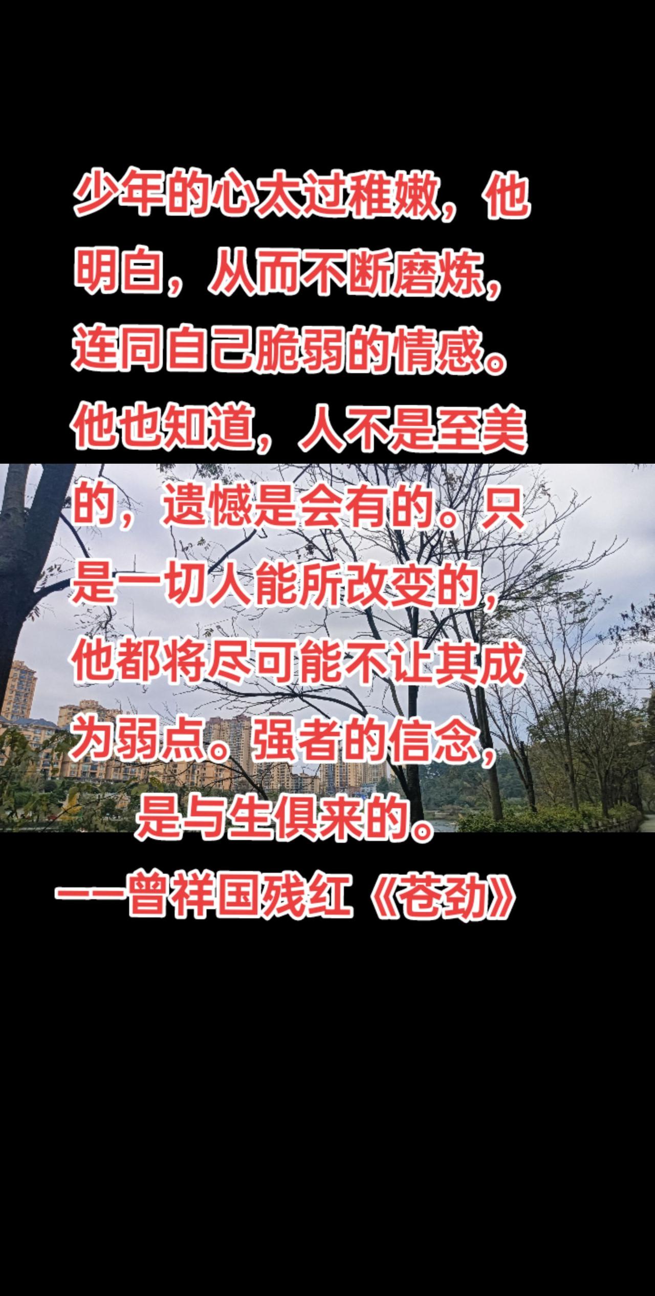 少年的心太过稚嫩，他明白，从而不断磨炼，连同自己脆弱的情感。他也知道，人不是至美