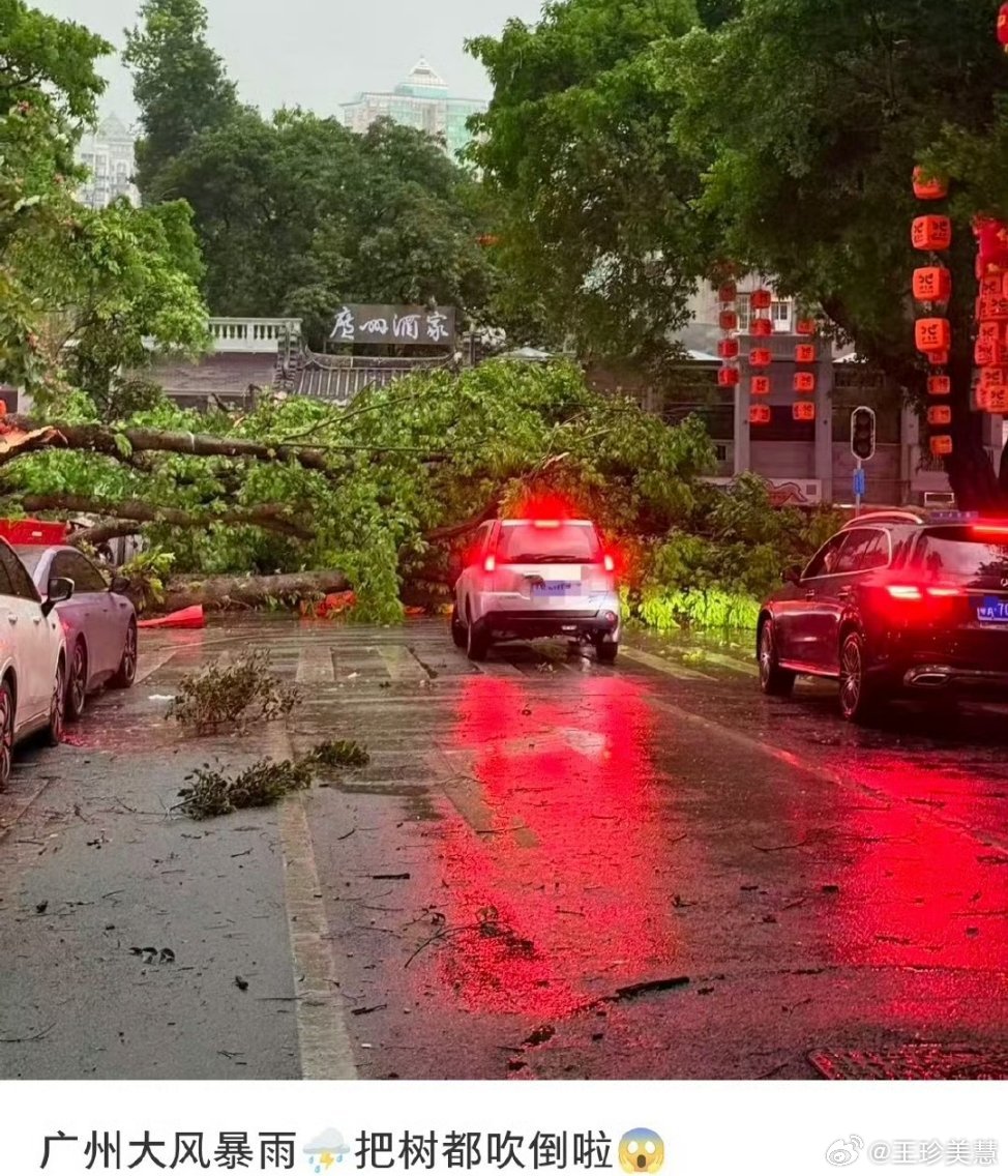 广州暴雨我天，广州狂风暴雨把树都给干倒了，在广州的朋友们一定要注意安全呀