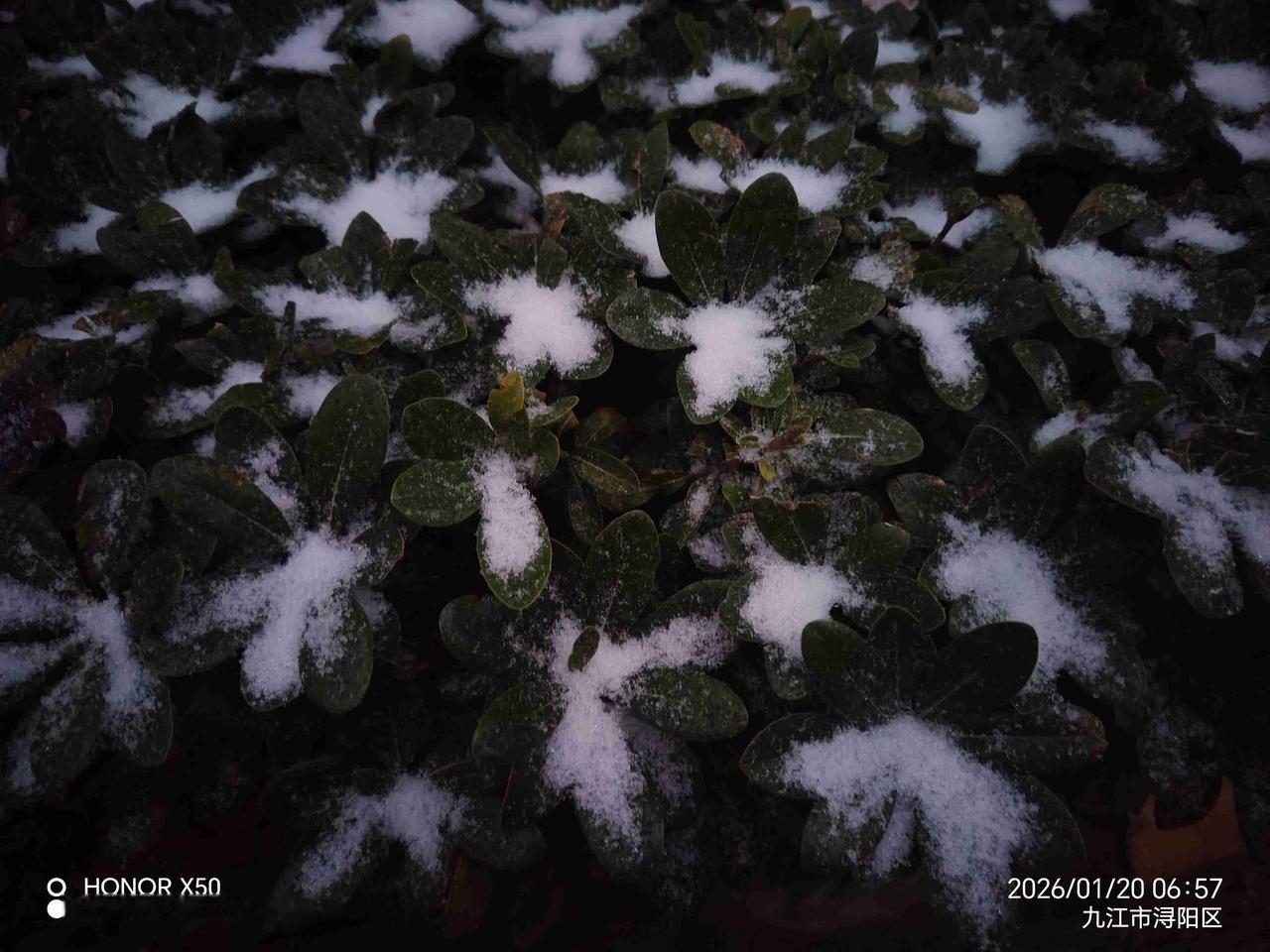 我的今日状态：😁轻松愉快
我这里的天气：🌤️多云2026年1月20日江西九江