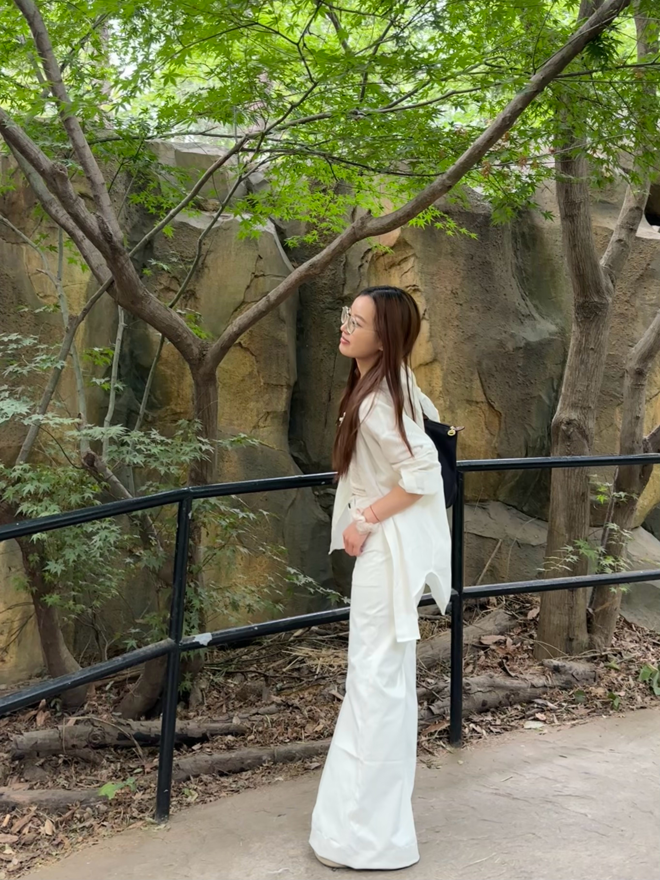 南京我又又又又来了  ​​​