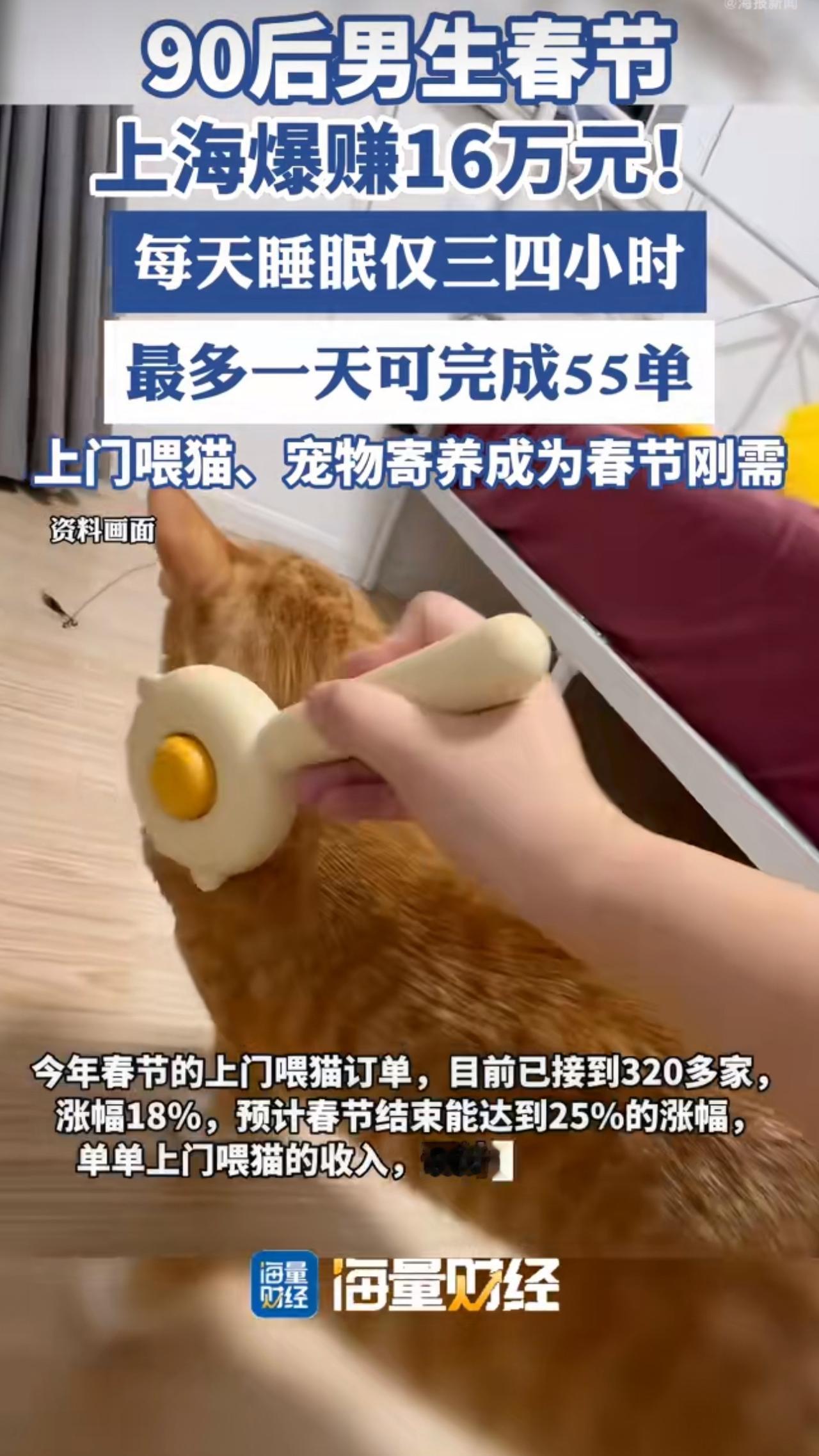 上海90后男生桓聪，靠春节上门喂猫预计收入16万的新闻冲上热搜，在多数人阖家团圆