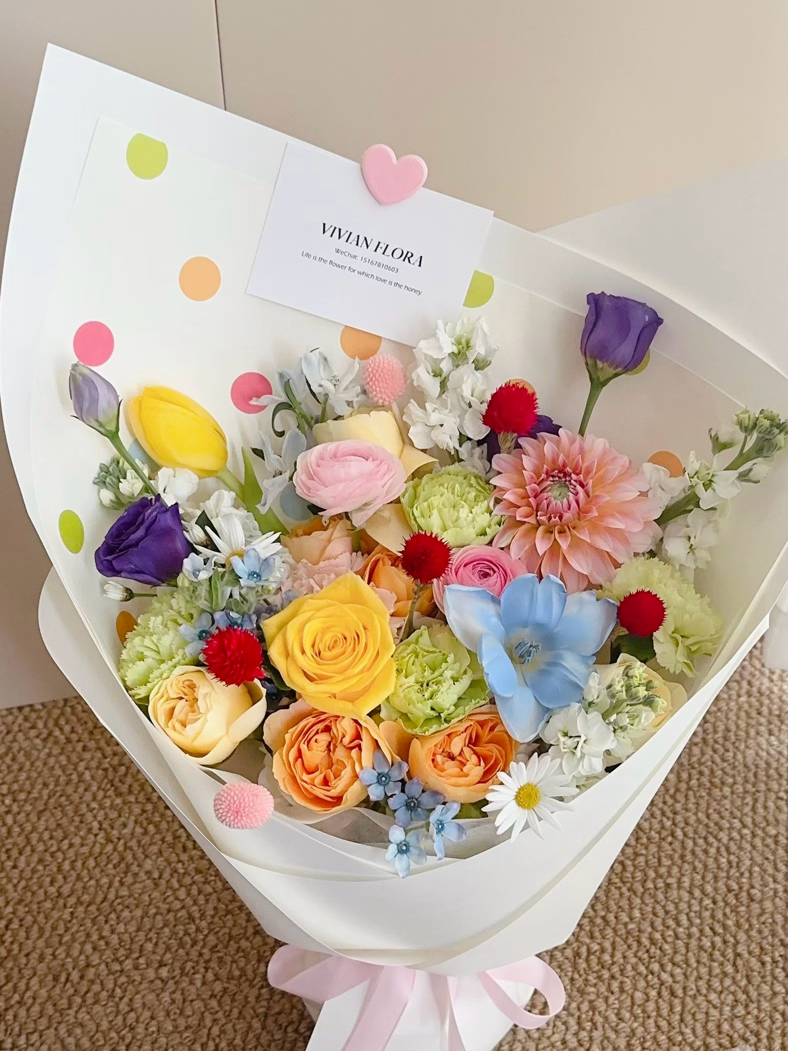 安娜公主 与 卓诗尼小王子的较量💐推杯换盏🍻永不打烊…… 龙港·龙港市