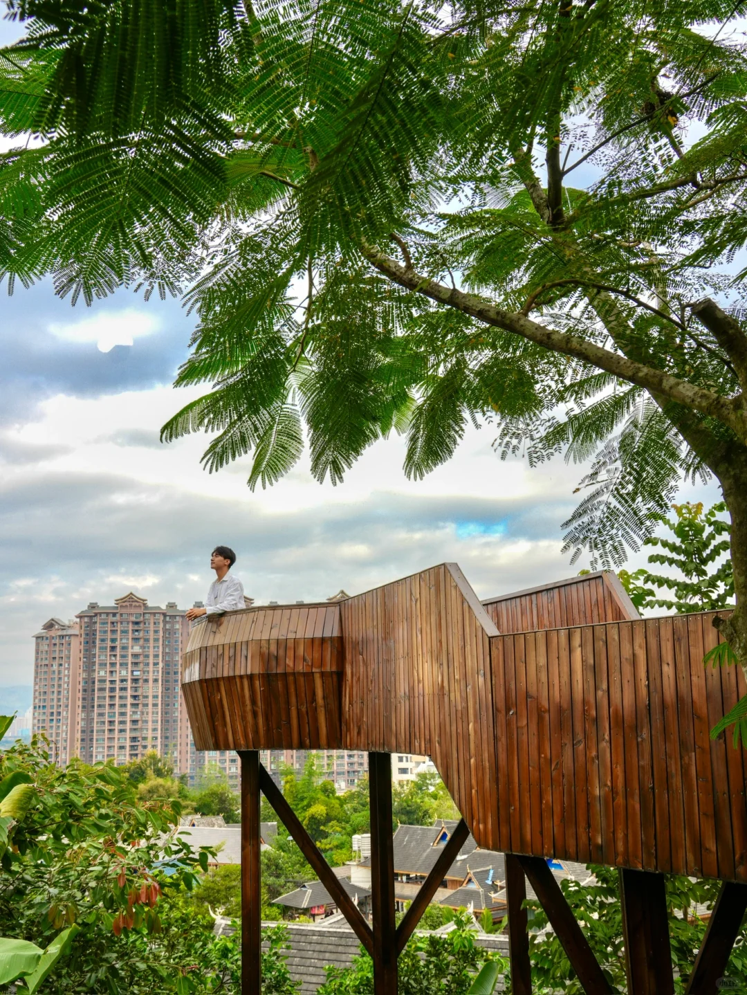 住进热带雨林，坐拥西双版纳小众秘境