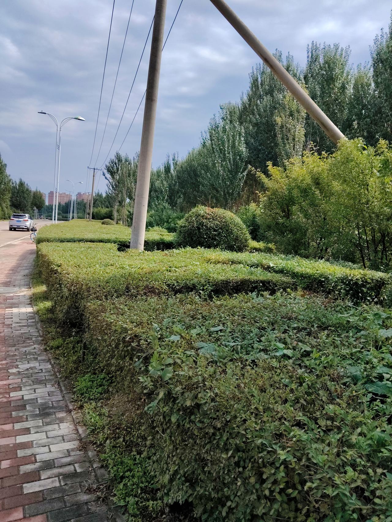 一个人打发时间，其实是给自己开启“充电模式”，有很多低成本又有趣的方式。
可以选