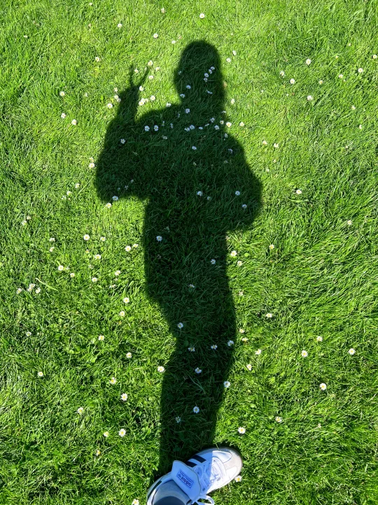 夏日特辑｜人类为何如此迷恋绿色🟢