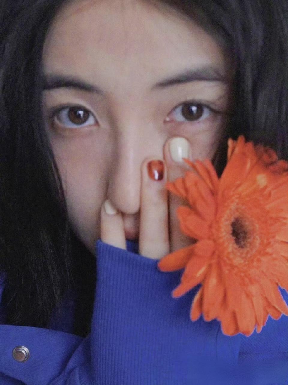 🏵️🏵️🏵️。格桑花开了