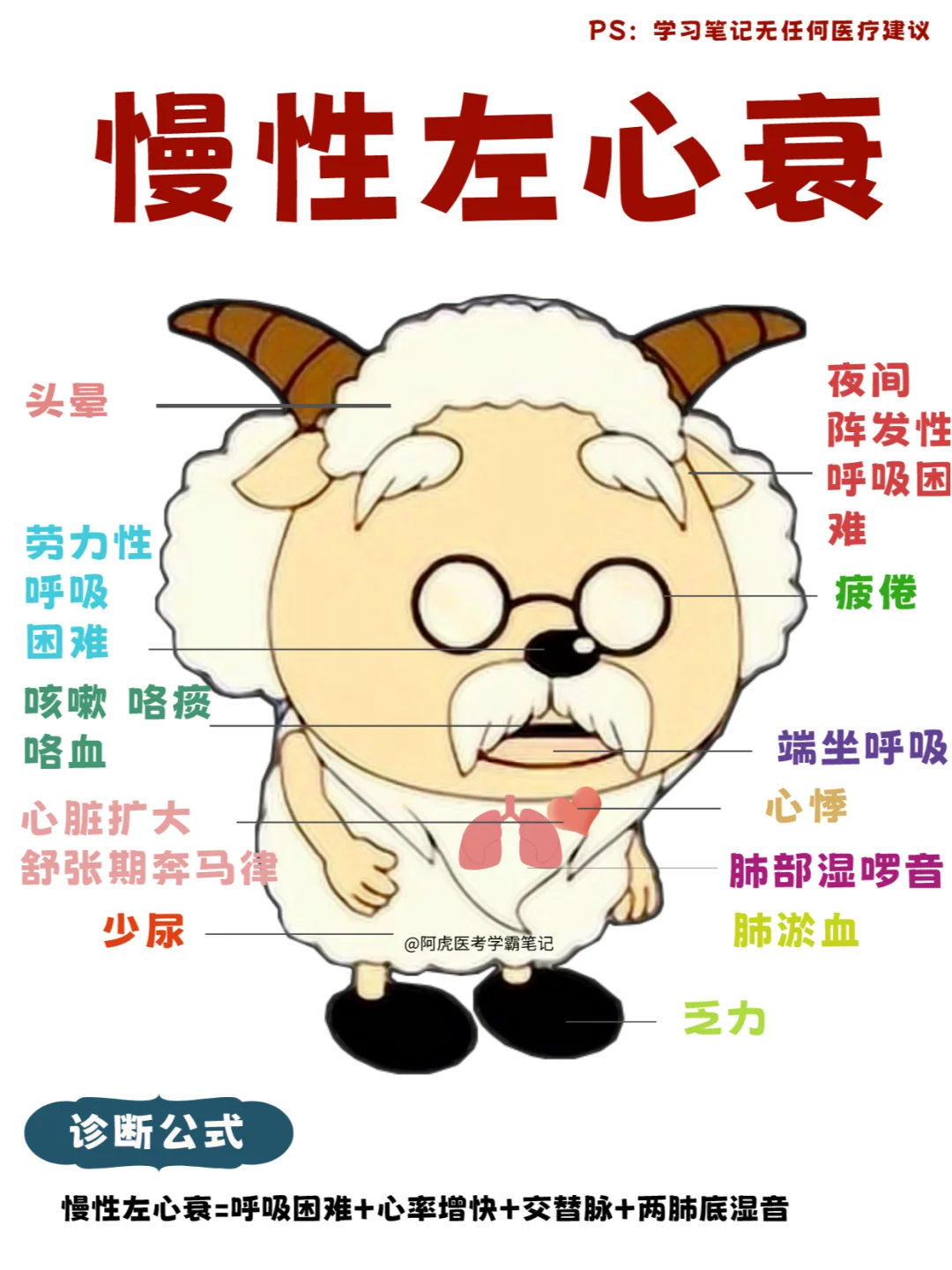 医学生笔记📒｜循环系统大合集👆