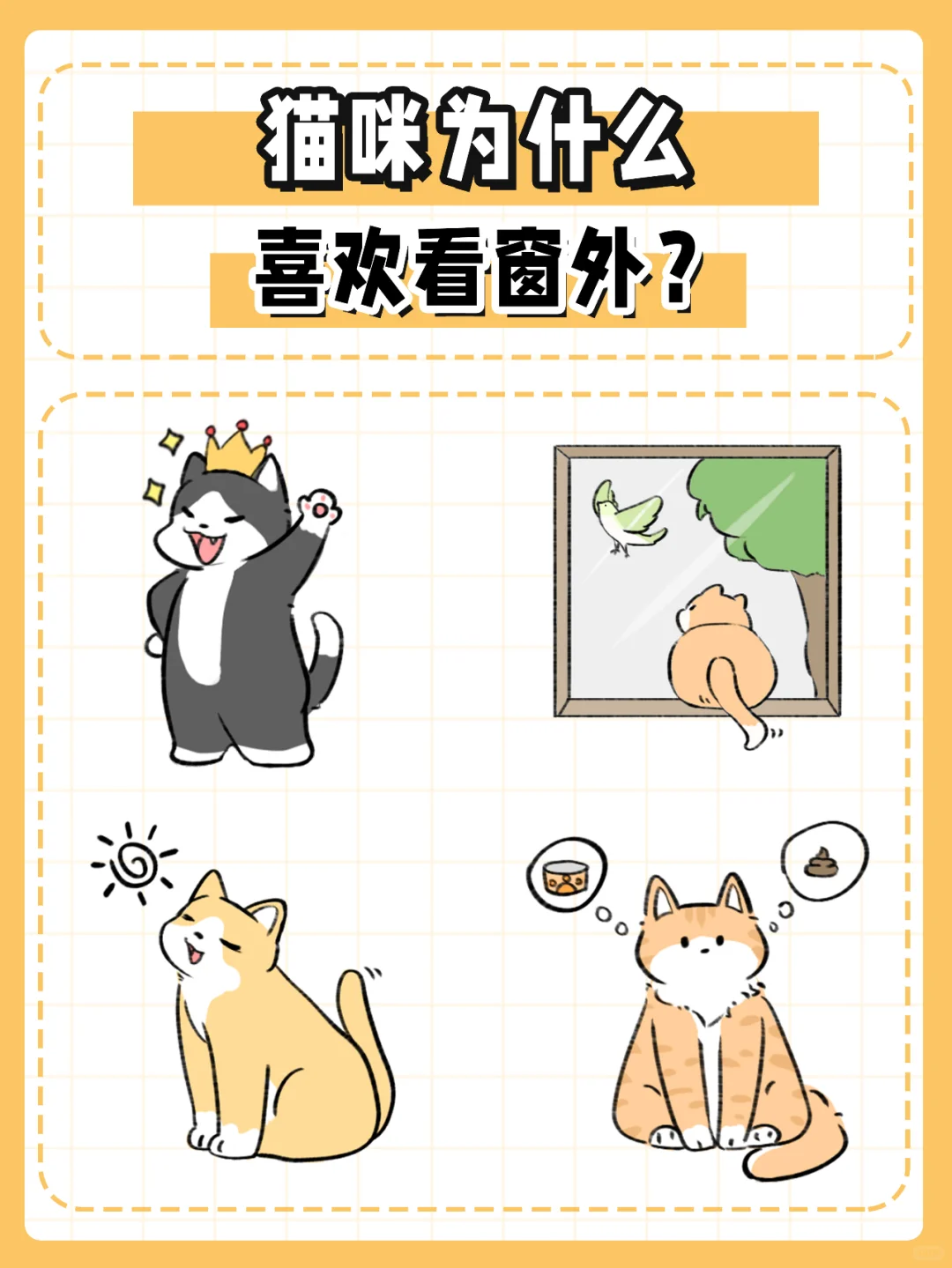 猫咪为什么喜欢看窗外？