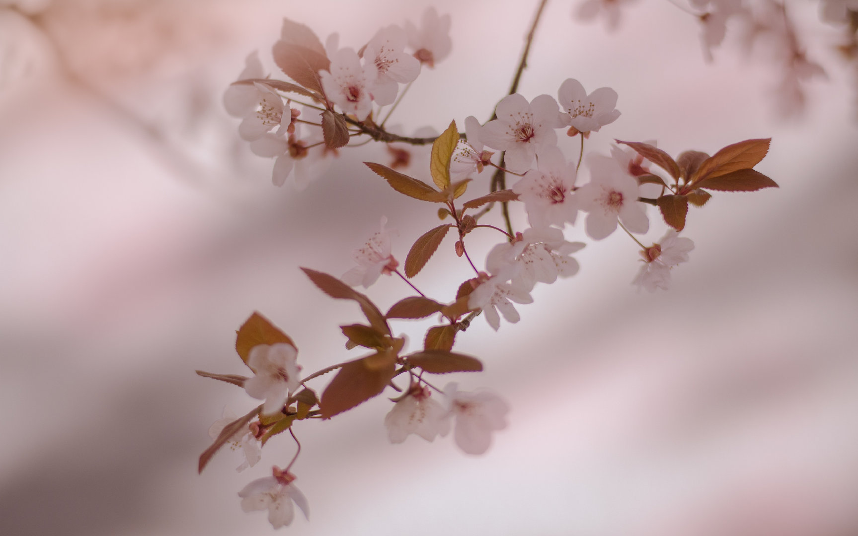 唯其因为人生有限，人生的乐趣才永远显得新鲜。—— 伯特兰·罗素 ​​​