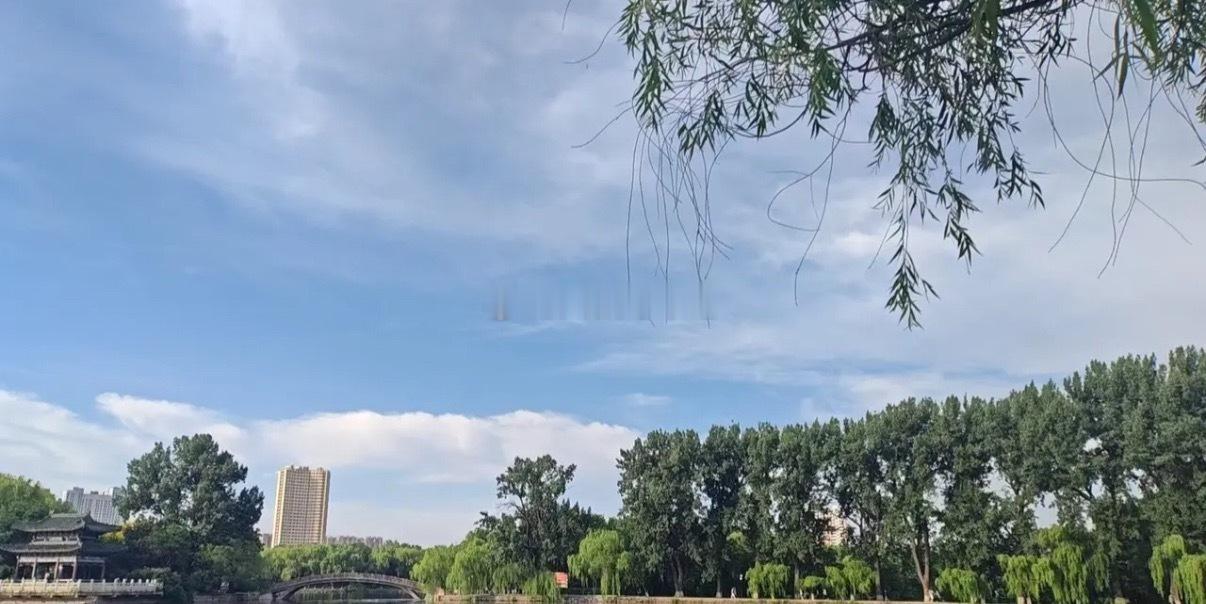 a股有一个规律，那就是主线开始调整的阶段，市场会出现妖股，活跃市场！一旦妖股生成