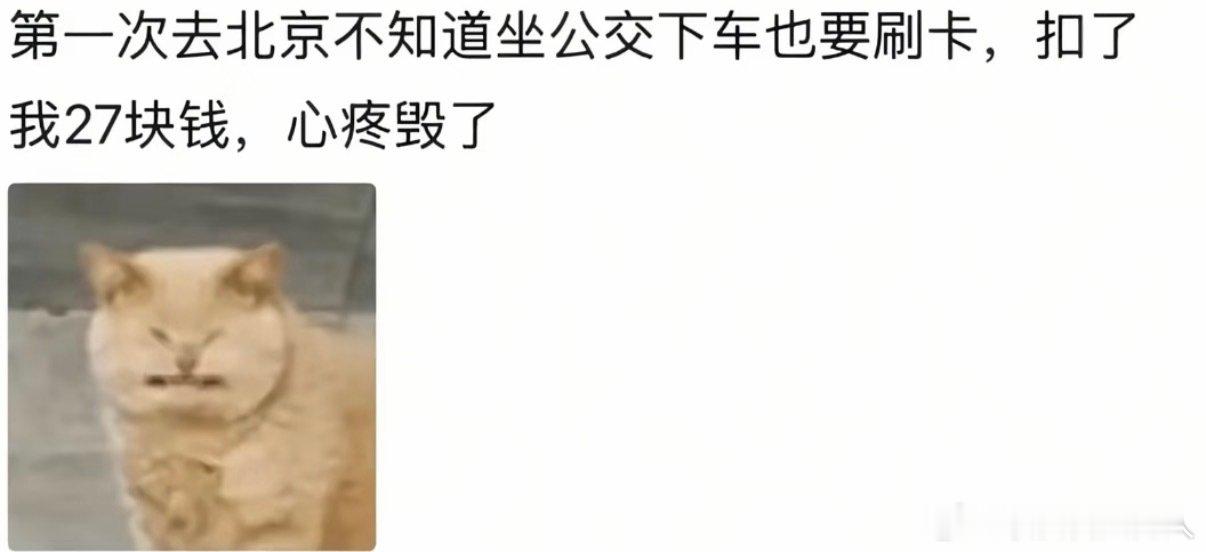 最没见过世面的就是我这样的人，上不认识奢侈品，中不认识家里亲戚，下也不认识地里的