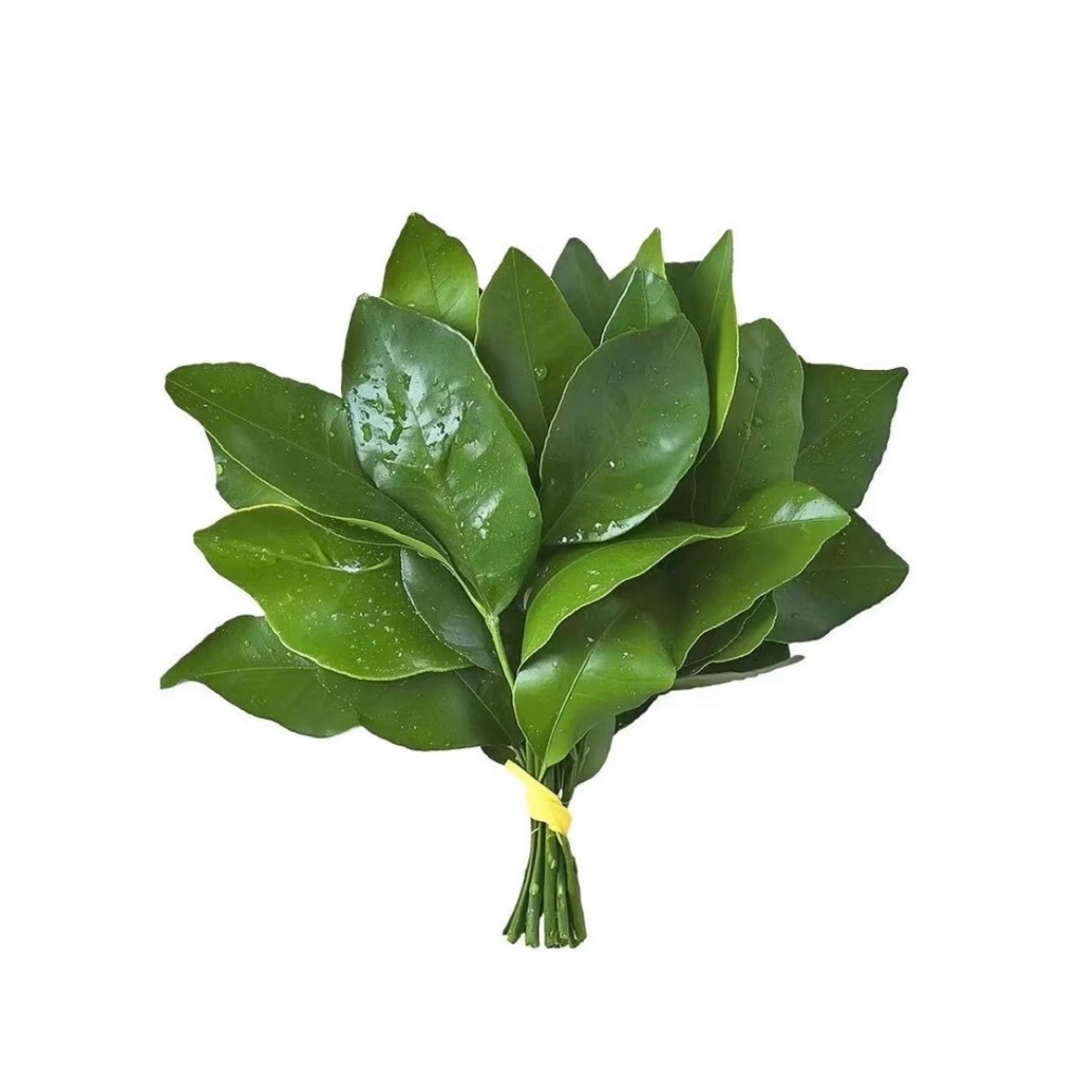 去去晦气 