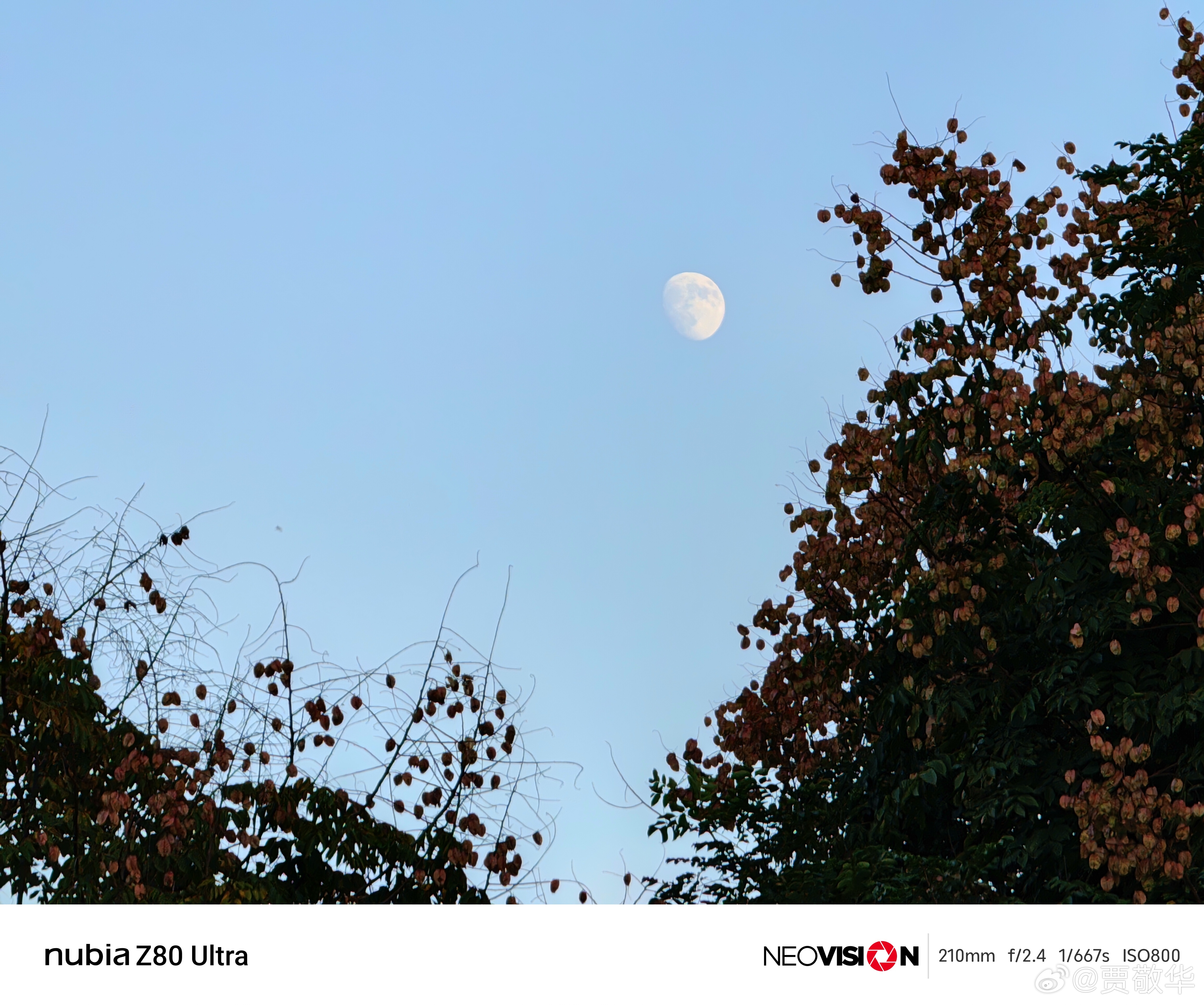 #超级月亮# 都说十五的月亮十六圆，今天的月亮又大又圆。前几天傍晚也抓拍到了月亮