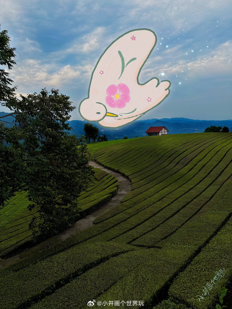 茶山🍃小井画个世界玩插画盛夏茶山阳雀pad绘画宜昌五峰