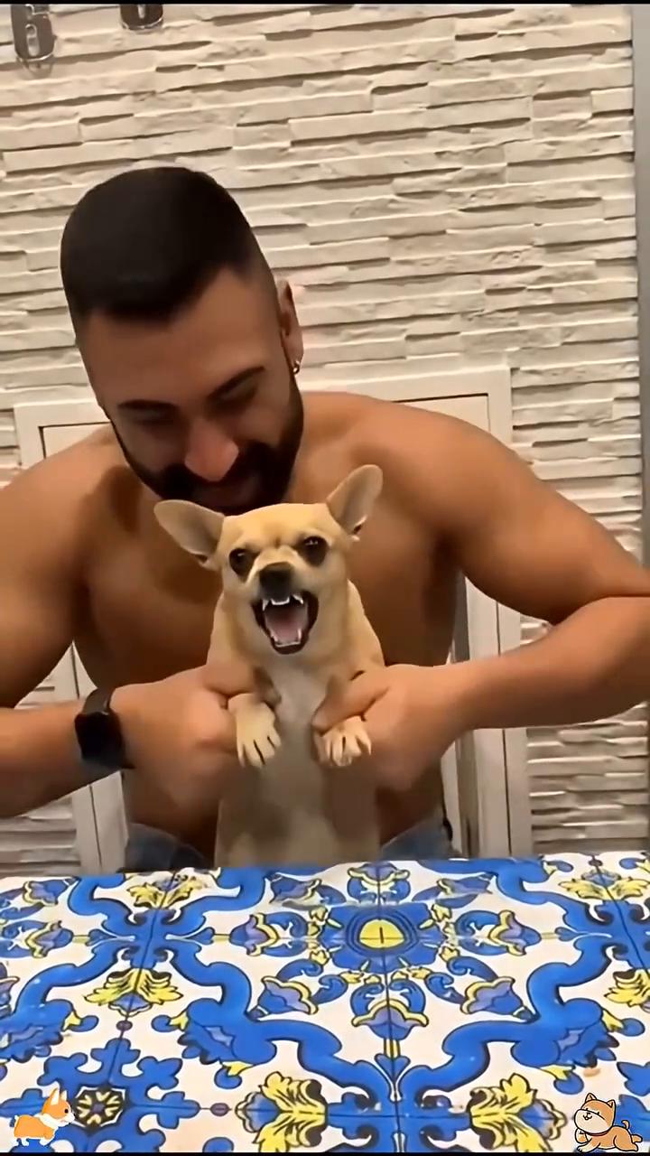 Not a thought behind those eyes，Dramatic