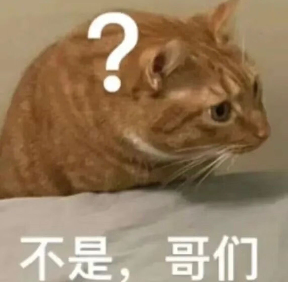 赵昭仪演戏一直这样吗我觉得她不适合古装适合现代戏，但是我看的她演的剧都是古装而且
