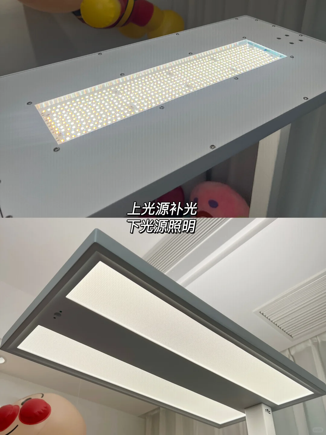 大路灯值得入吗？使用3个月后的真实分享～