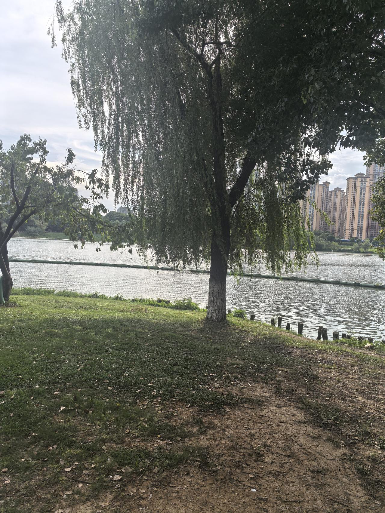 为什么大多数中国人不喜泽连斯基不得不承认他还是很有担当和勇敢的领导，但是呢，本应