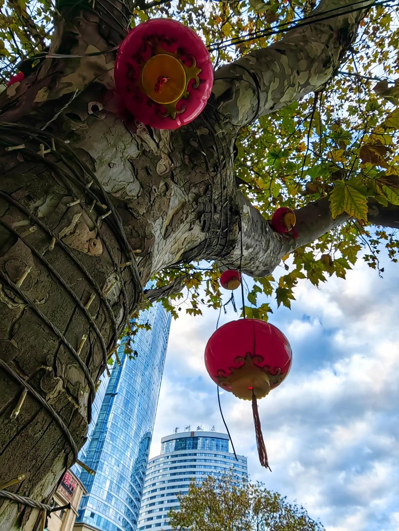 城市风景照欣赏