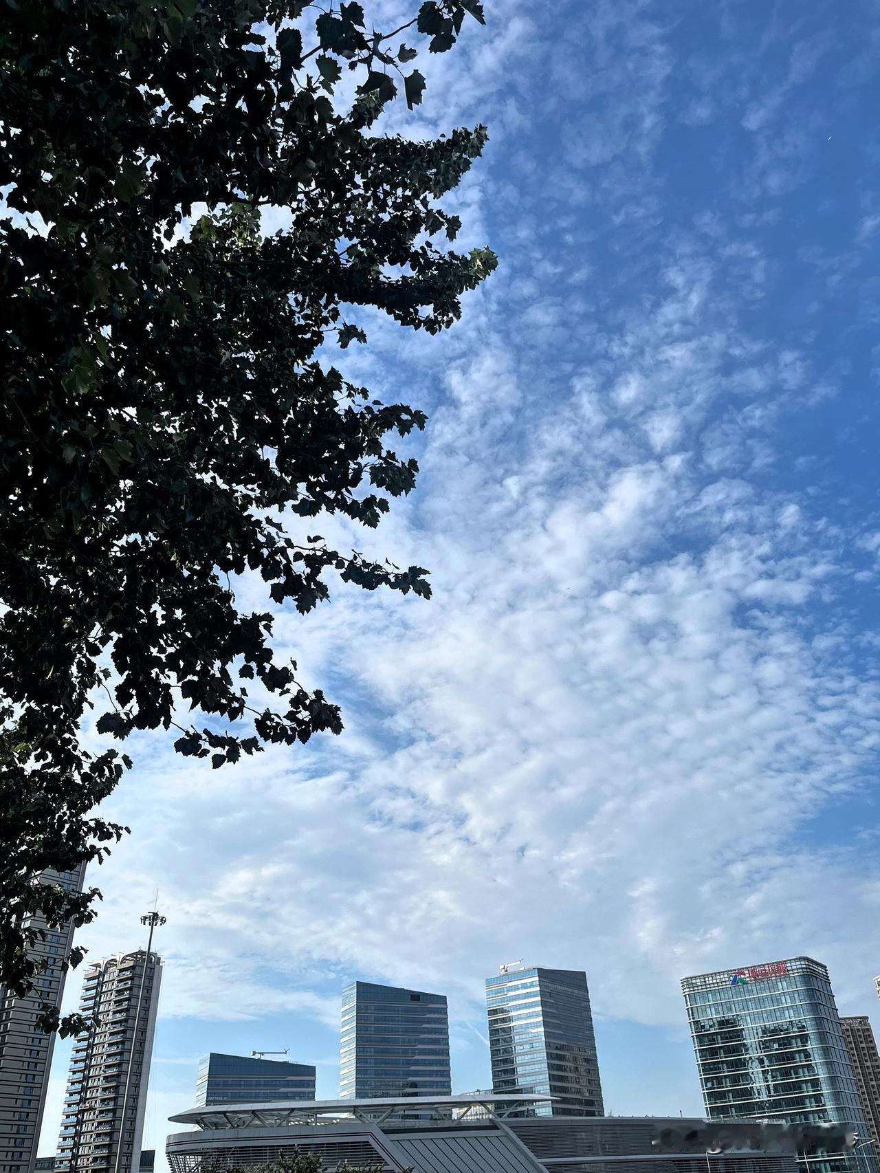 天很蓝，风很软，今天的云走得比我散步的步伐还慢。