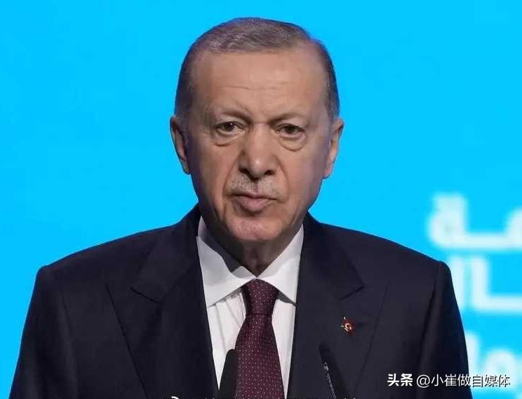 原来埃尔多安也不敢说实话呀！

土耳其总统雷杰普·塔伊普·埃尔多安在内阁会议后向