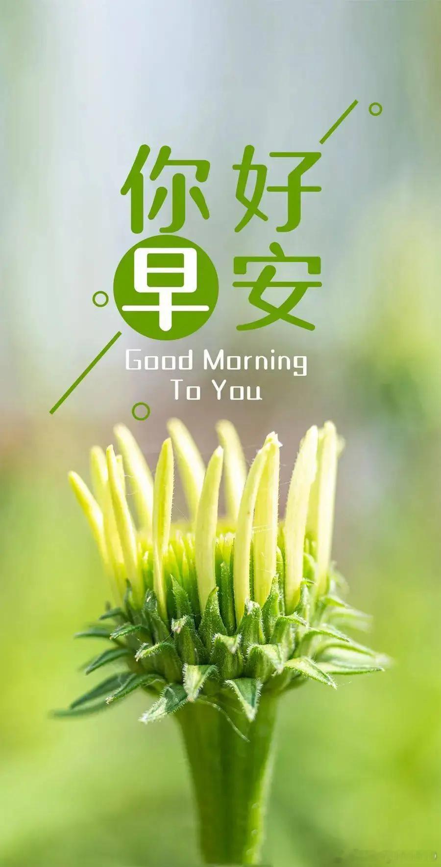 分享图片 