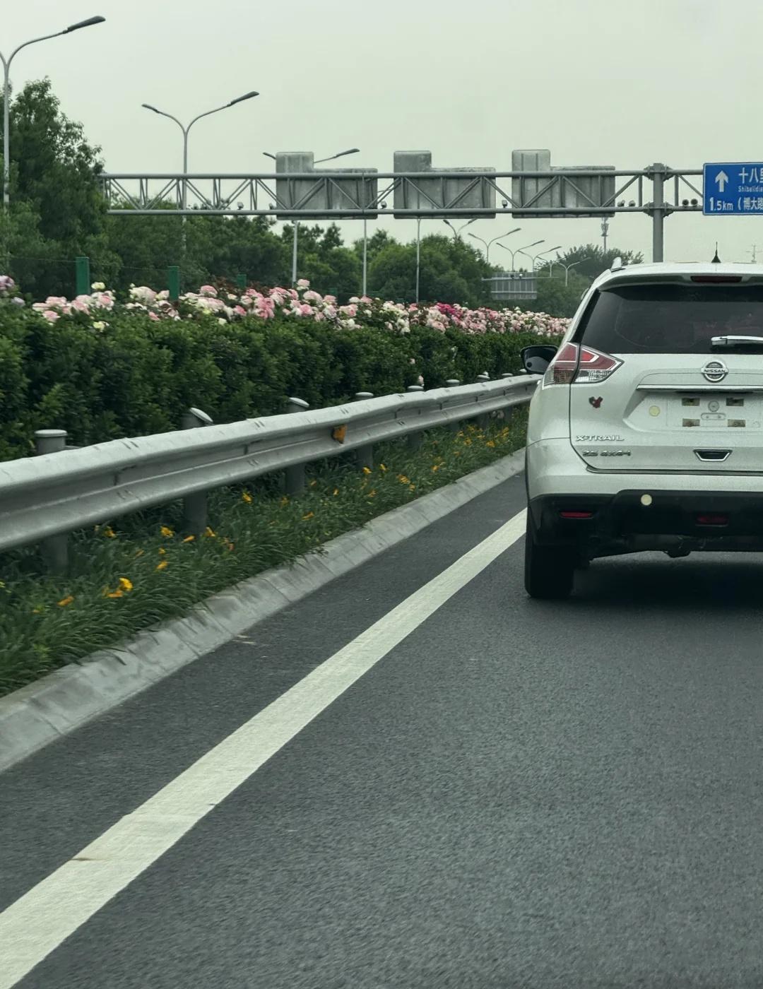在防撞护栏中间种花的人配享太庙
平平无奇的一个节后工作日
心情称得上是沉重的
但