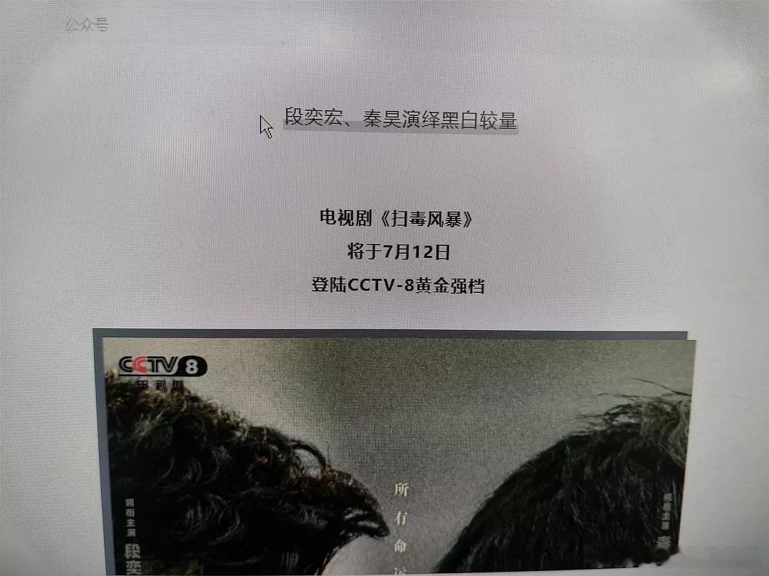 电视剧《扫毒风暴》定档7月12日央视八台播出 ​​​